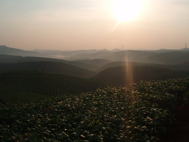 [P4170516.JPG]