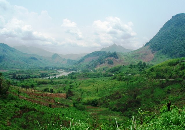 [P5022447.JPG]