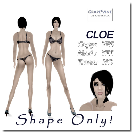 [Shape+vendor+Cloe.jpg]