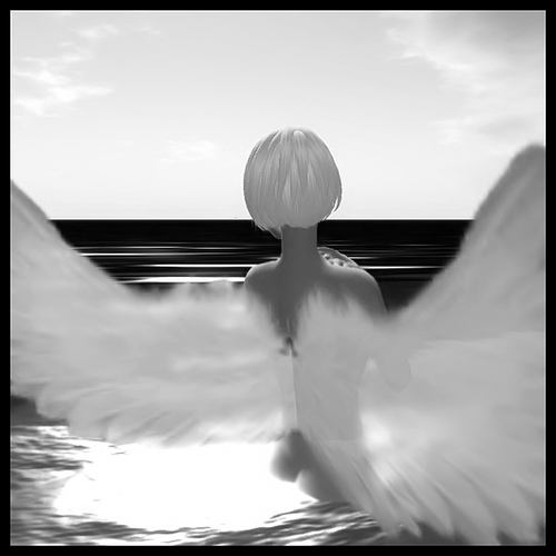 [536125439_2c3be3b131.jpg]