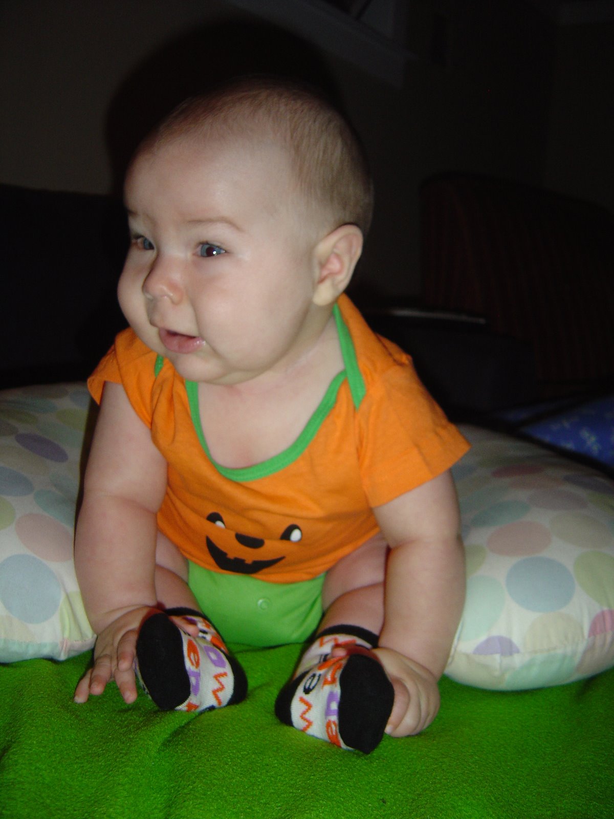 [DSC02503.JPG]