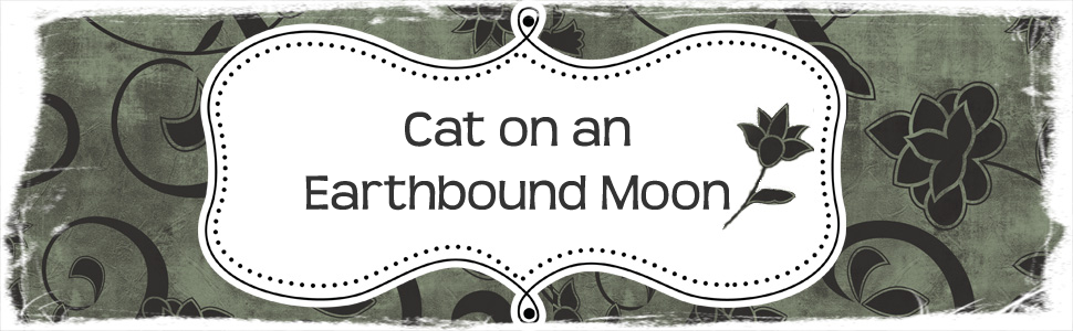 Cat on an EarthBound Moon