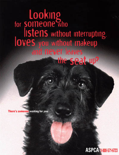 [dog3.jpg]