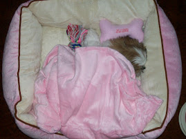 She loves her bed. :-)