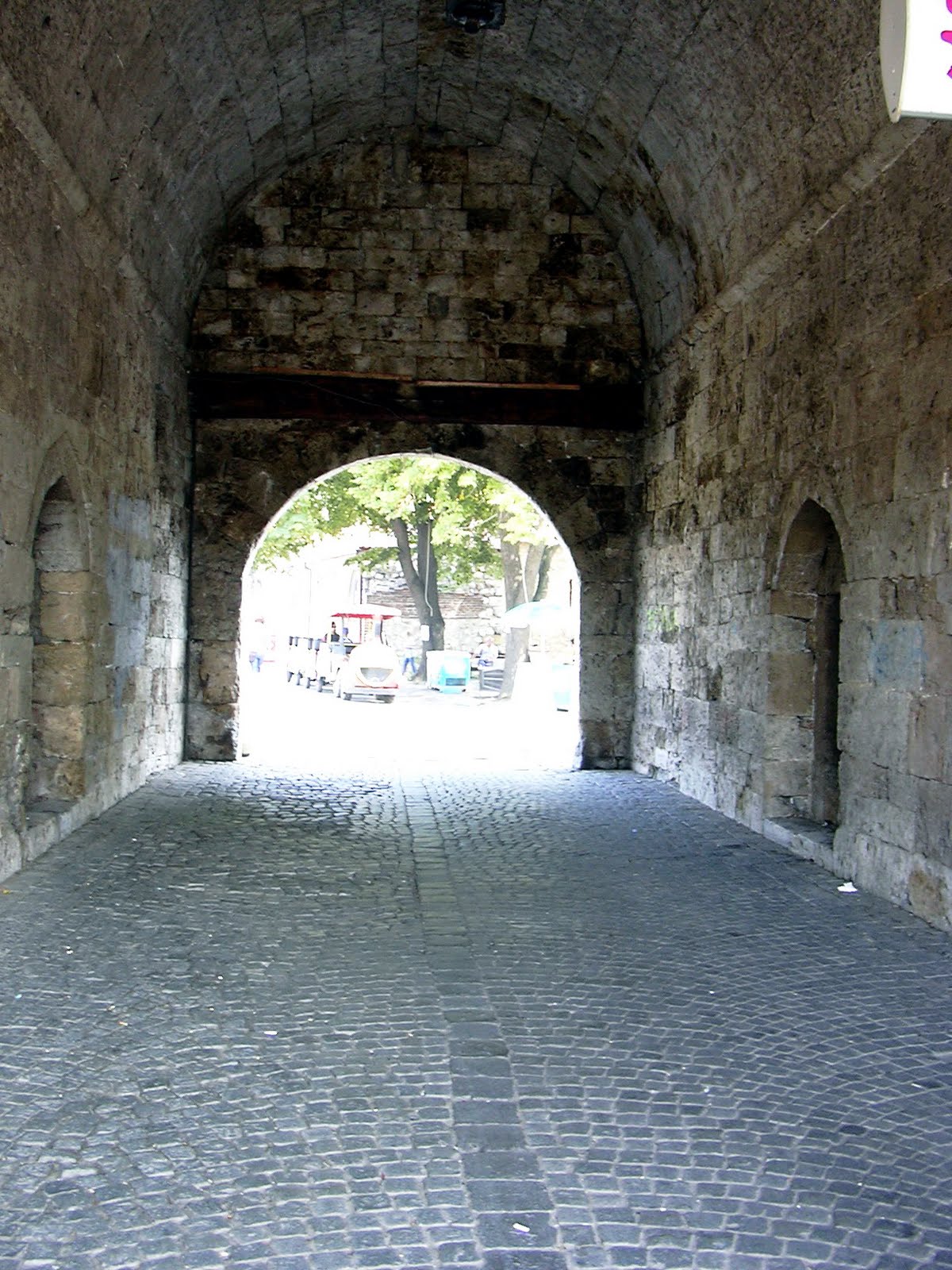 [DSCN0223.jpg]