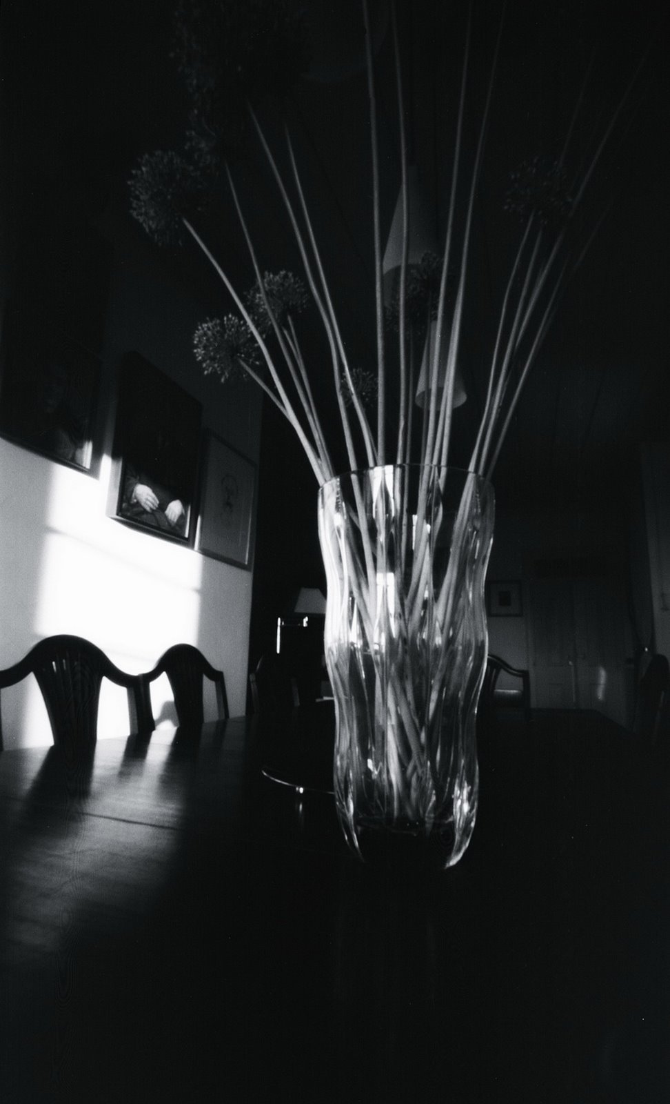 [BIBLIOS19INT02BR.jpg]