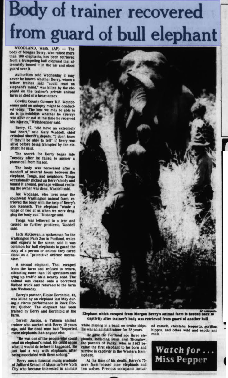 [morgan_berry_article.jpg]