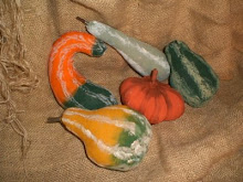 Hand Painted Muslin Gourds for your home!