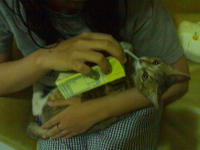 http://3.bp.blogspot.com/_7Q1v-OeHAoQ/SRmVJREa3UI/AAAAAAAAATk/cWlDIol7LOA/s400/YuCks..U%27re+sO..3961.jpg