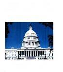 [PIC.US+Capitol+for+Ed+Washington+Publicity.jpg]