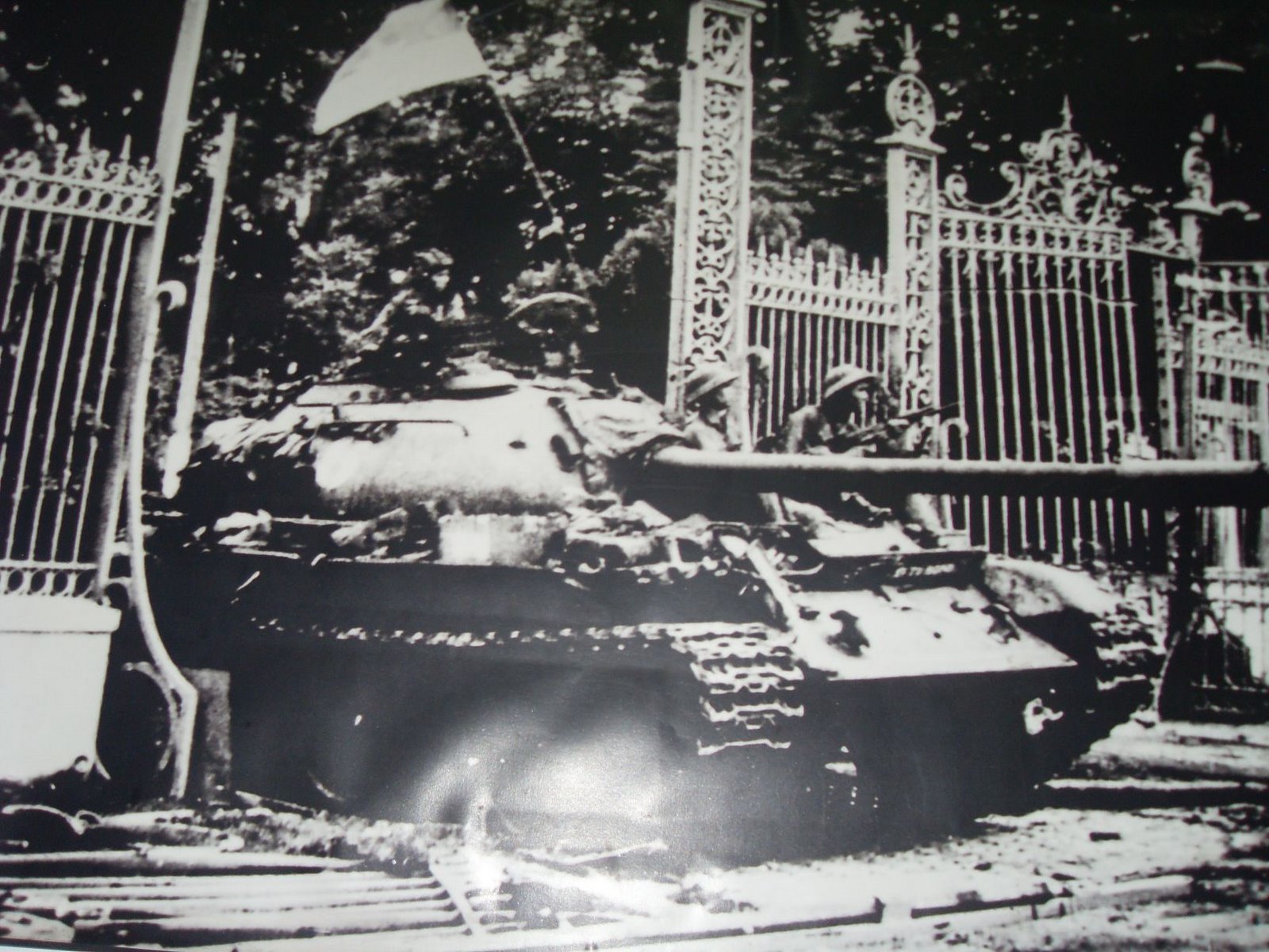 [SDC11210.JPG]