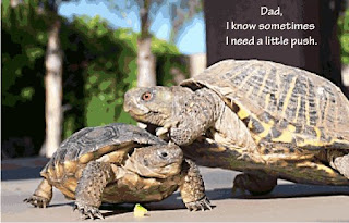 cute-fathers-day-cards