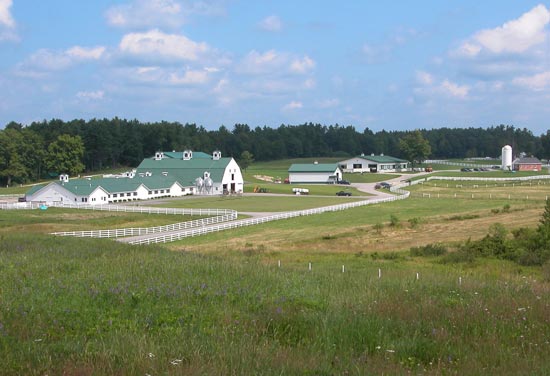 HAV2RUN Pineland Farms 25k Trail Race