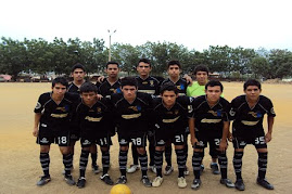 Anivilla Uniforme Interelectricos - Arroz Gelvez