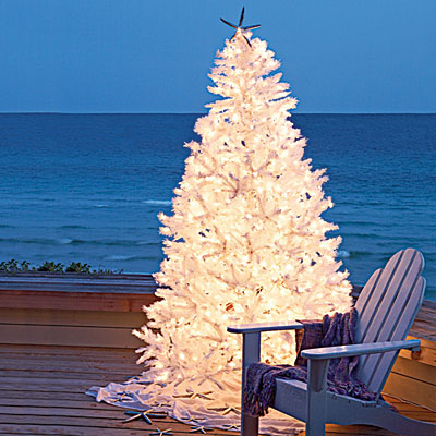 Outdoor Christmas Trees - Beautifully Seaside