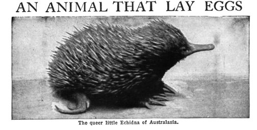 [bok2.jpg]