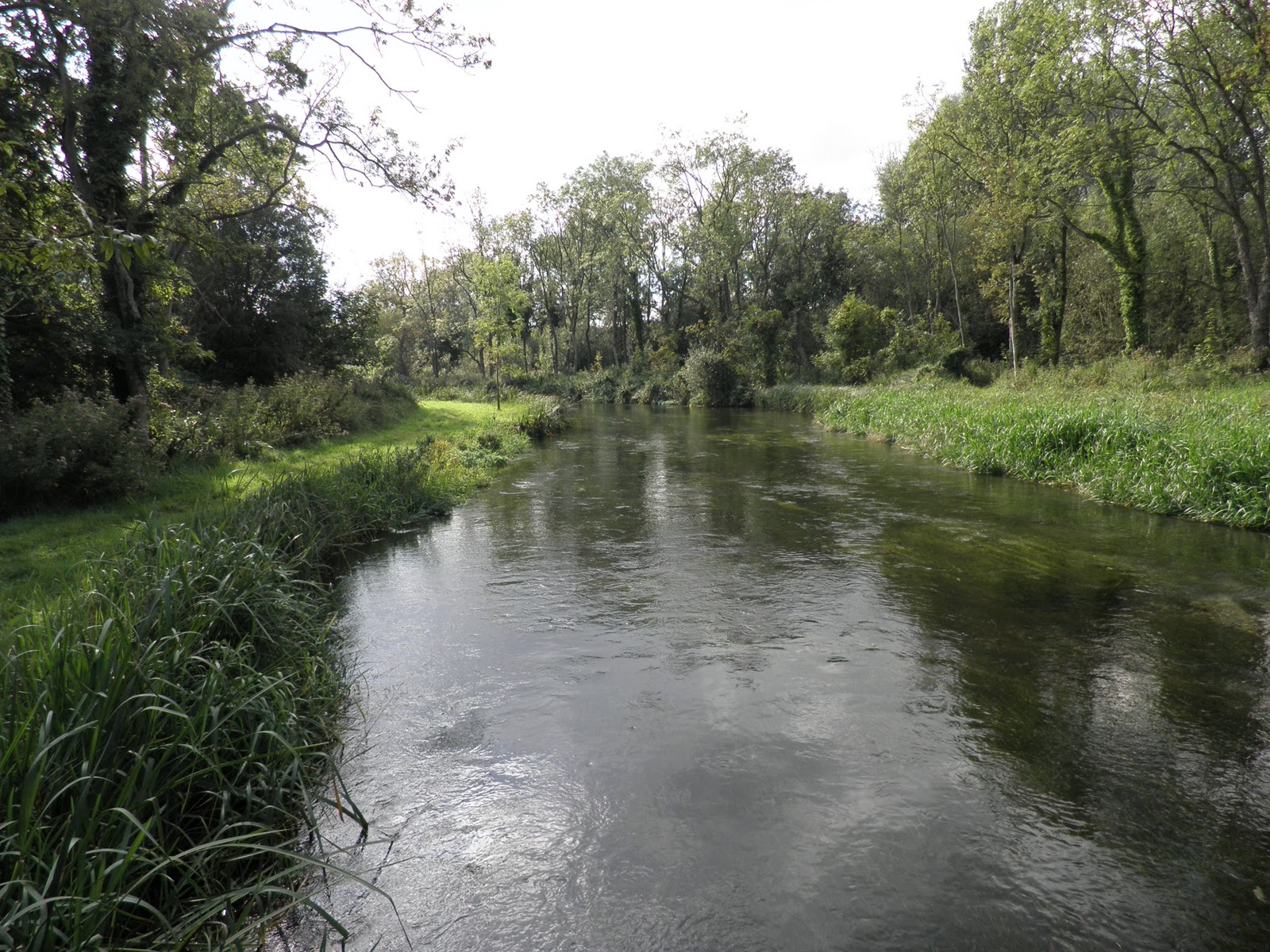 The River Beat The River Test, Hampshire