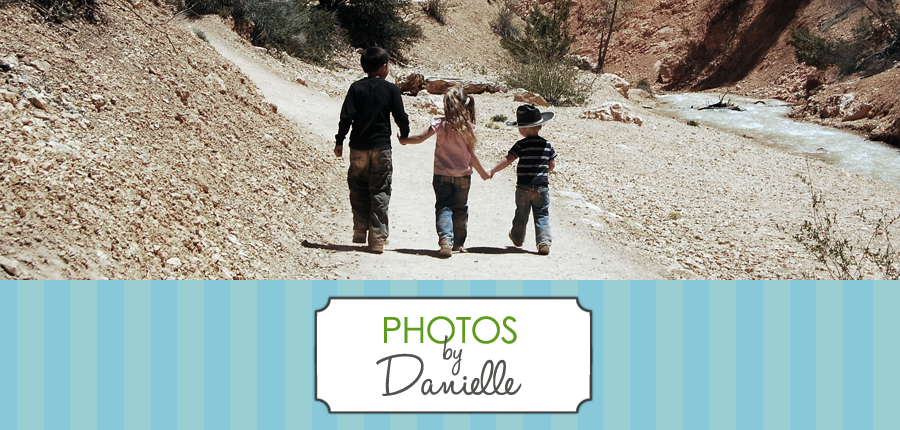 Danielle Photography Template