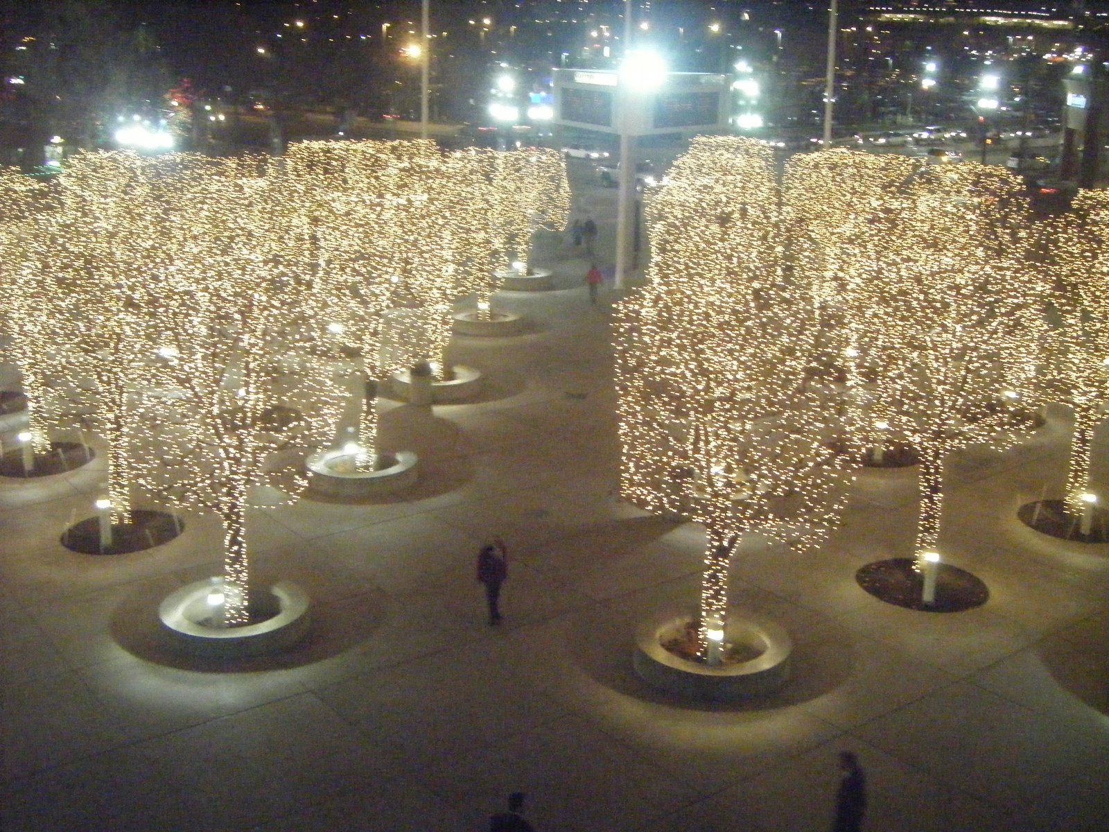 [DSCF3953.JPG]