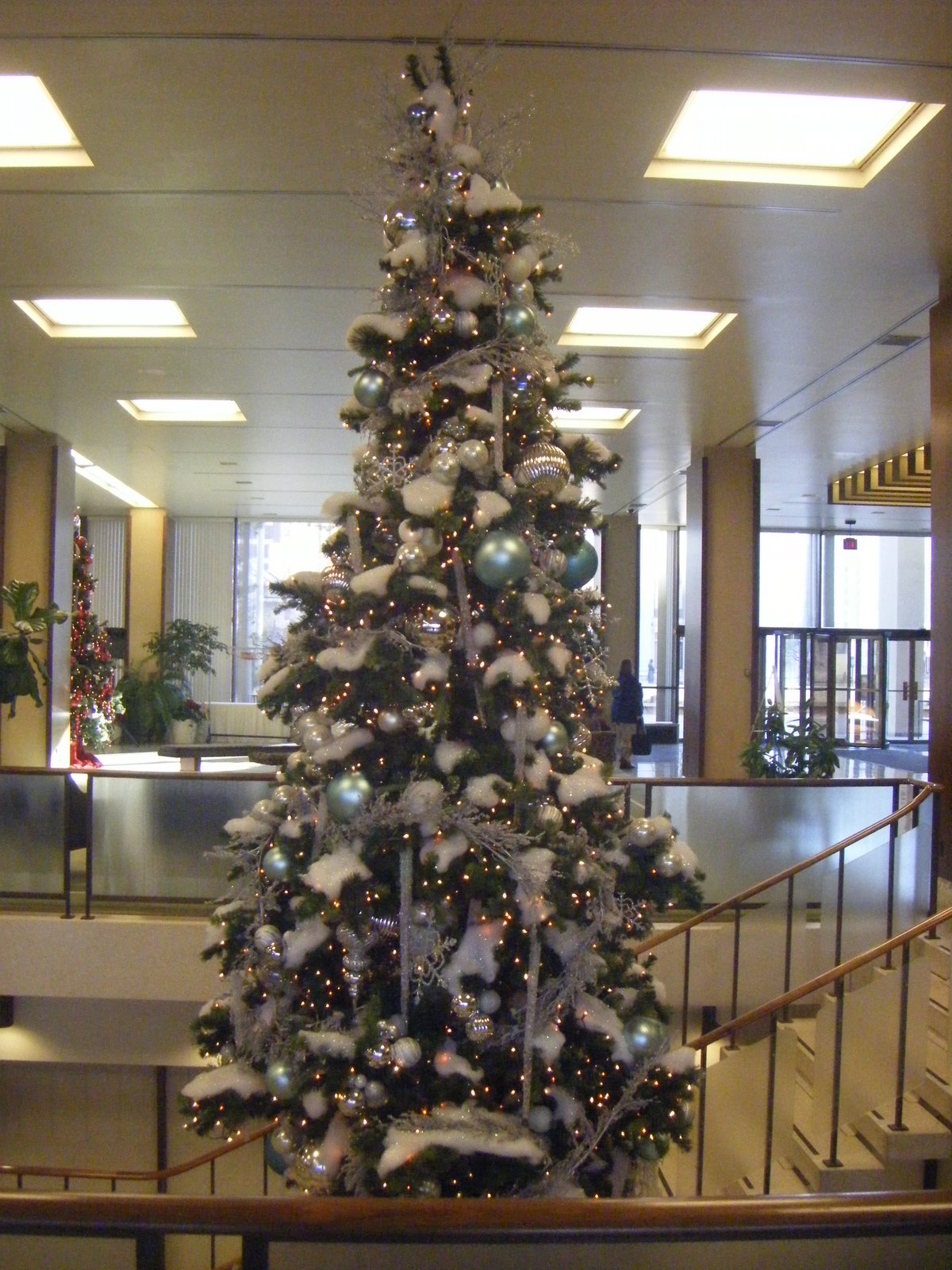 [DSCF4038.JPG]