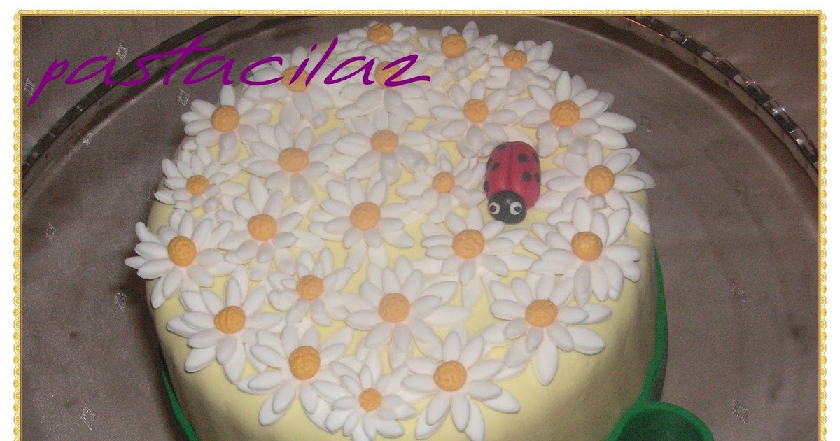 Pastacılaz Papatyalı Pasta