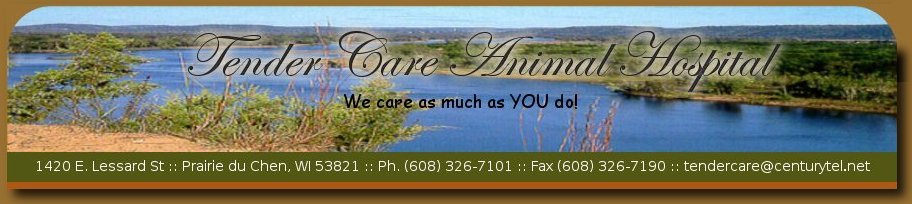 Tender Care Animal Hospital