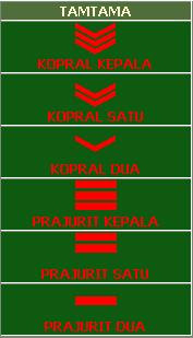 Cempluk Story: Tanda Kepangkatan Tentara Nasional Indonesia dan Polri