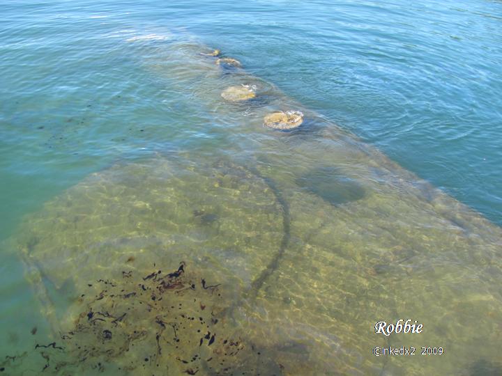 [HAWAII+DAY+FIVE+-+4.jpg]