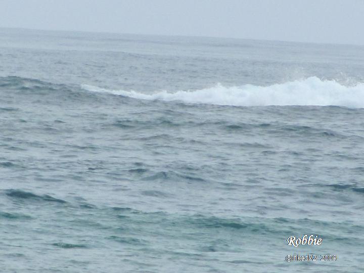 [HAWAII+DAY+13+-+PIC+2.jpg]