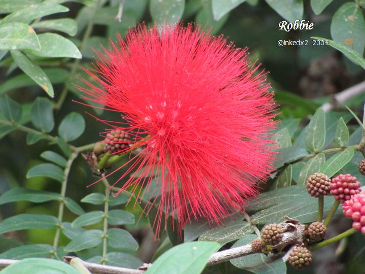 [HAWAII+DAY+13+PIC+-+5.jpg]