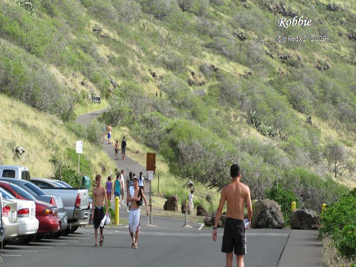 [WHALE+WATCH+PIC+1.jpg]