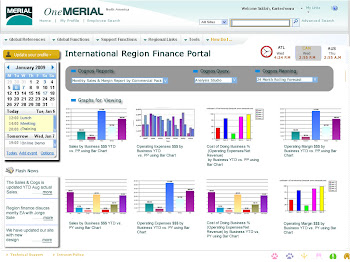 Sample Merial Reports Page - Dynamic Wireframes