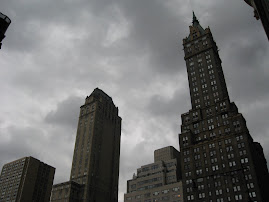 Concrete Jungle
