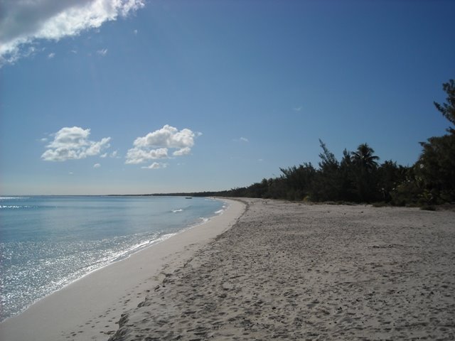 [DSCN1173.JPG]