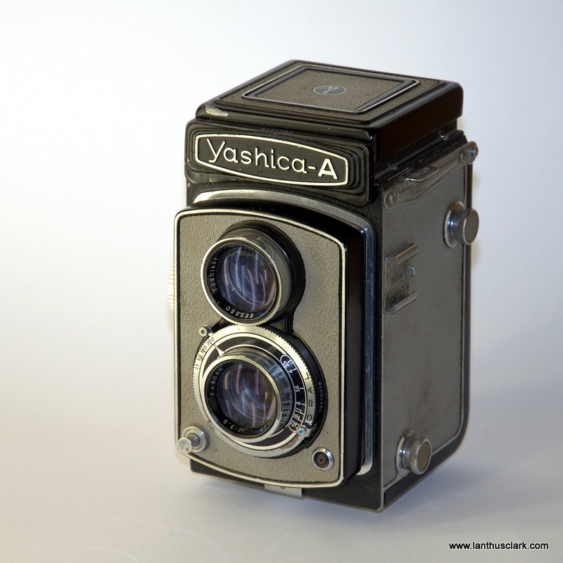 tlr yashica
