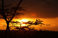 Sunset at Porini Rhino Camp, Kenya