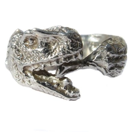 Dinosaur Ring
