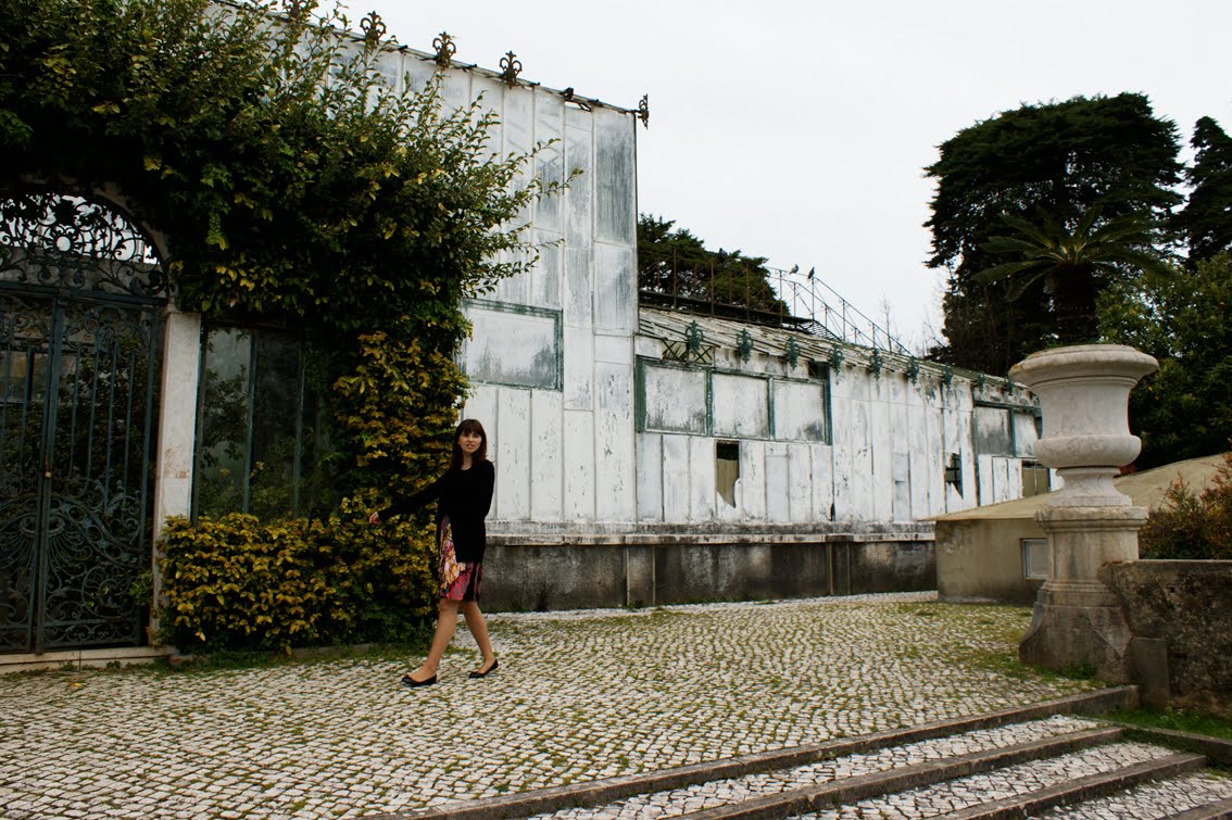 [DSC06536+cópia.JPG]