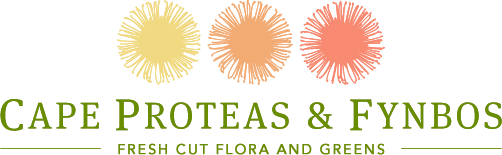 Cape Proteas and Fynbos