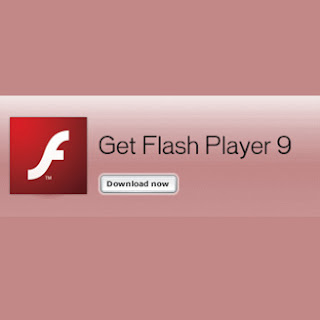Flash Player 13 Activex