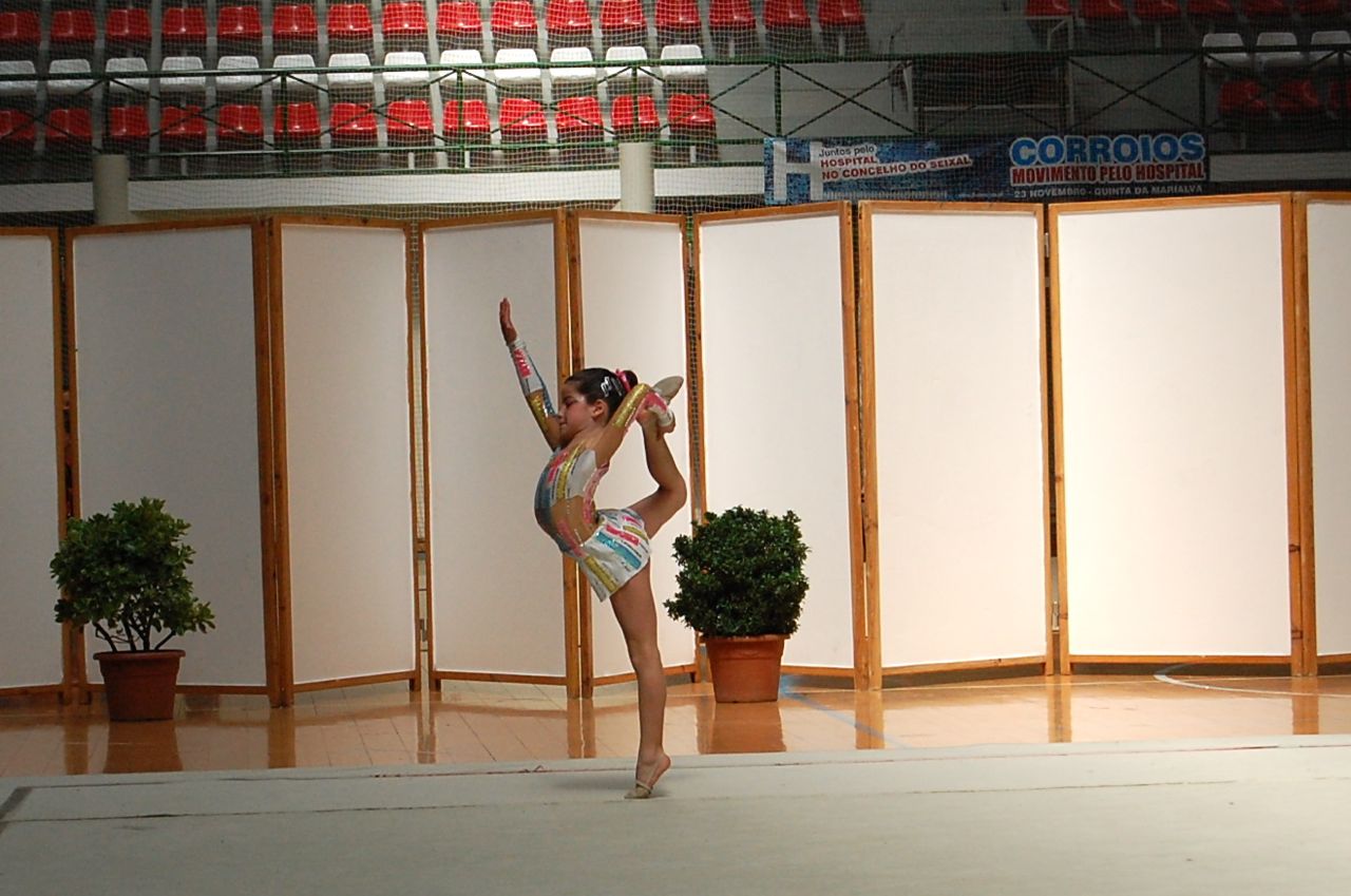 [DSC_0061_2.jpg]