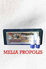 MELIA PROPOLIS