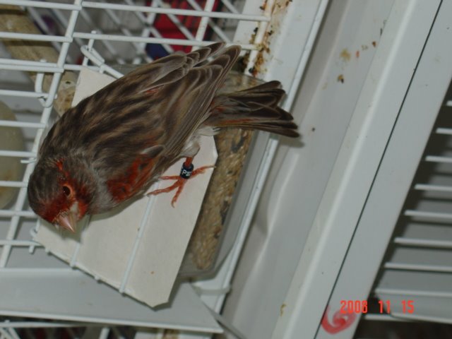 [DSC04865.JPG]