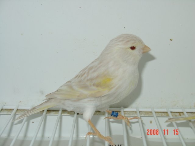 [DSC04806.JPG]