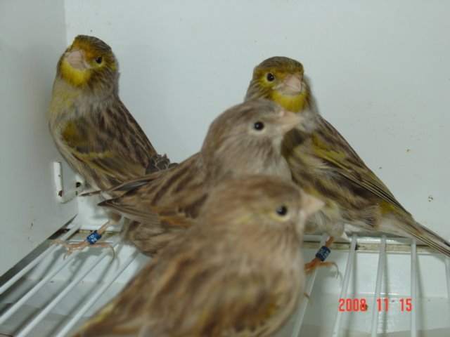 [DSC04921.JPG]