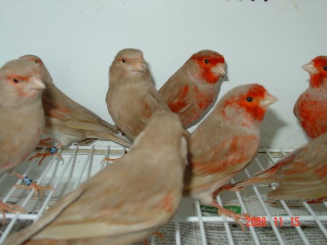 [DSC04888.JPG]