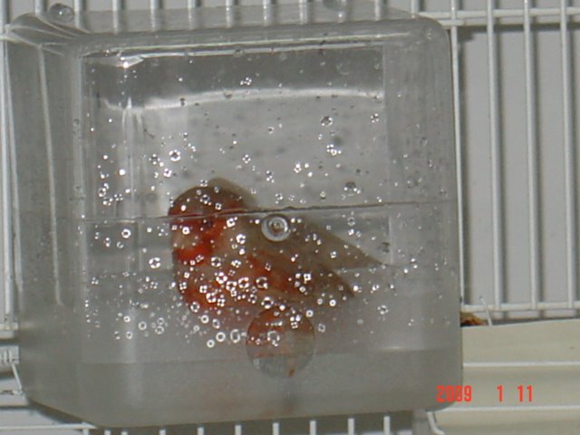 [DSC05054.JPG]