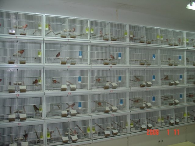 [DSC05051.JPG]