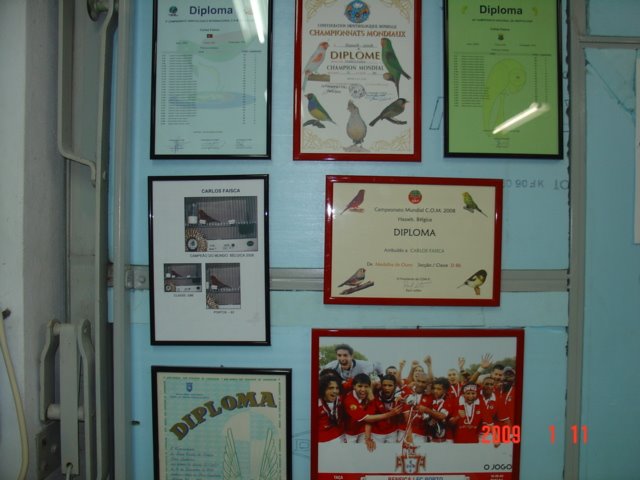 [DSC05039.JPG]