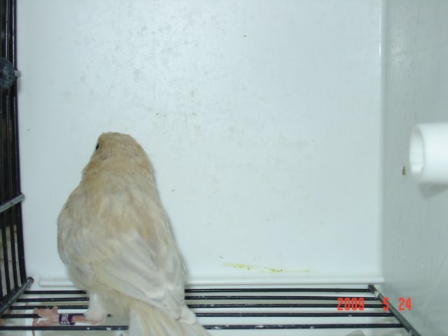 [DSC05535.JPG]